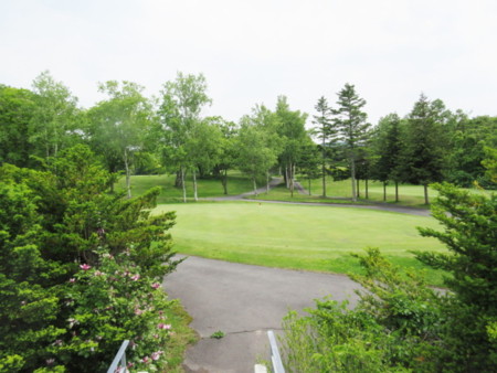 ゴルフコース