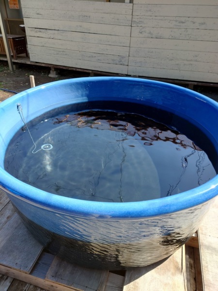 本格的な水風呂も完備♪