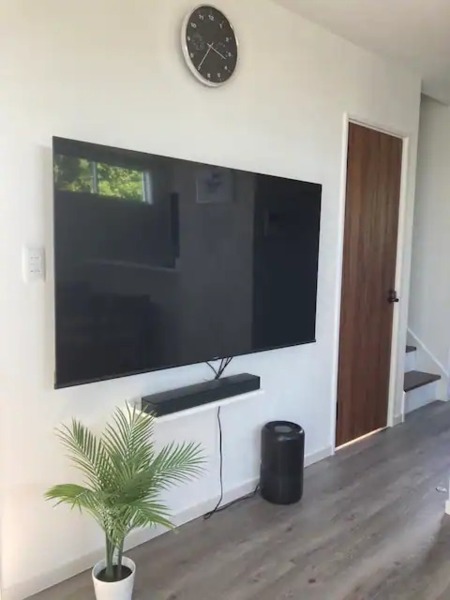 テレビは65インチBOSEスピーカあり